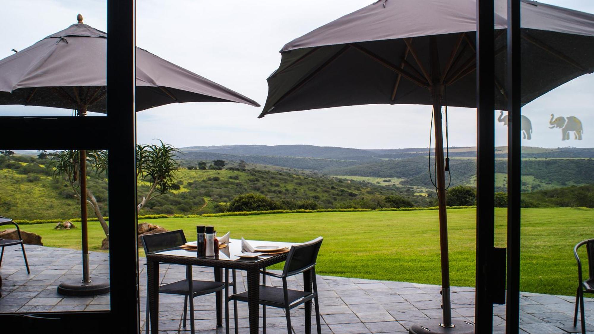 Umbono Private Game Lodge Alexandria  Eksteriør bilde