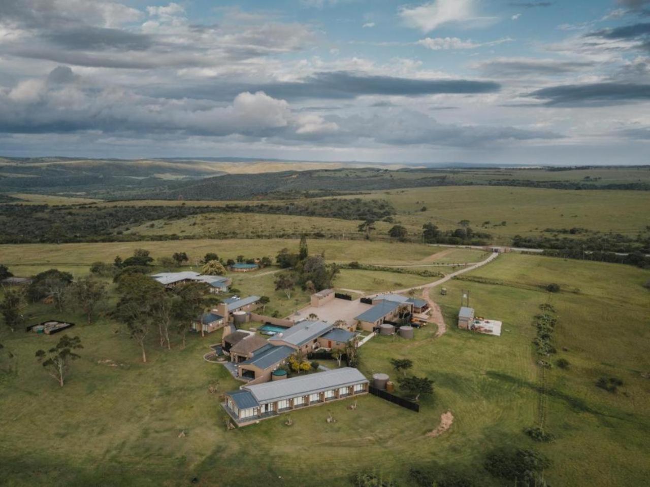 Umbono Private Game Lodge Alexandria  Eksteriør bilde