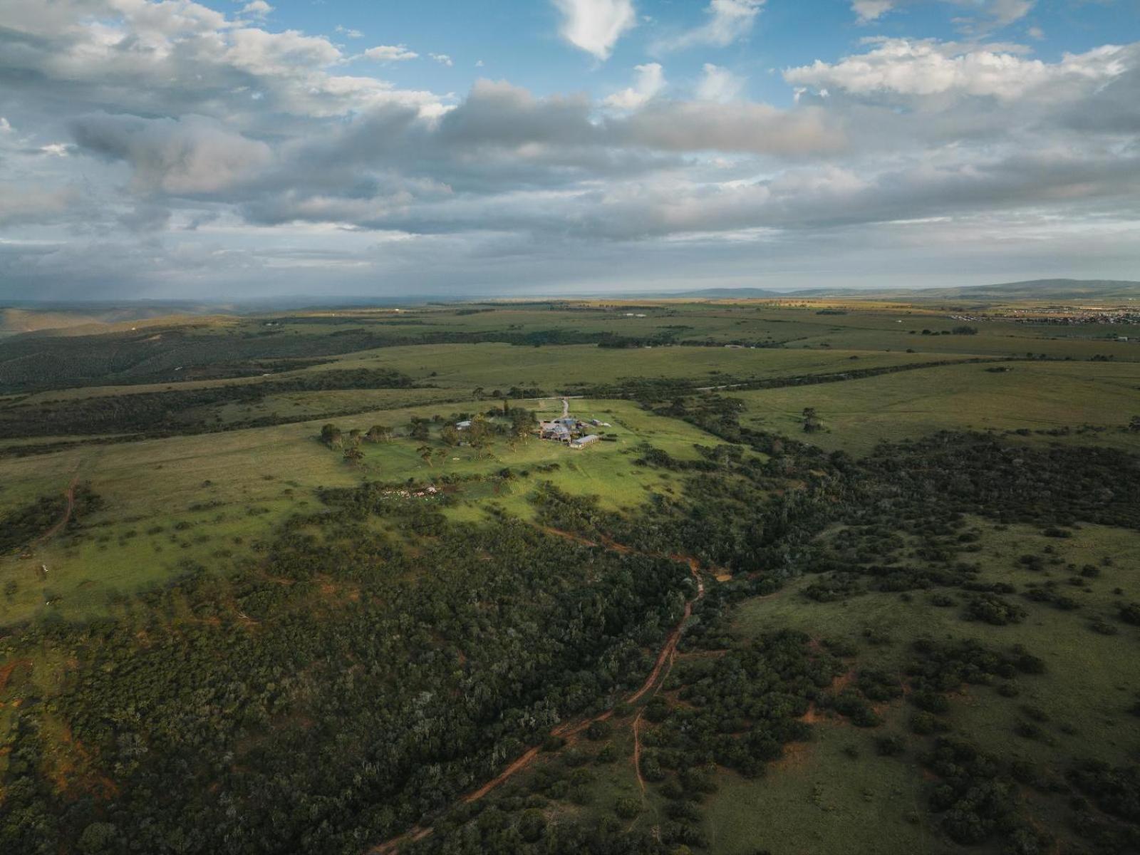 Umbono Private Game Lodge Alexandria  Eksteriør bilde